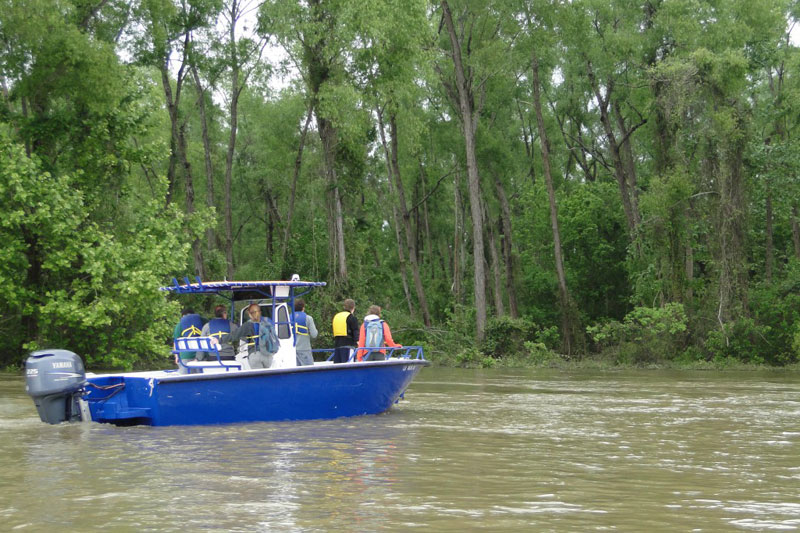 Field survey of the Mississippi River at St. Francisville. Here the research group is approaching a densely vegetated island bar.
